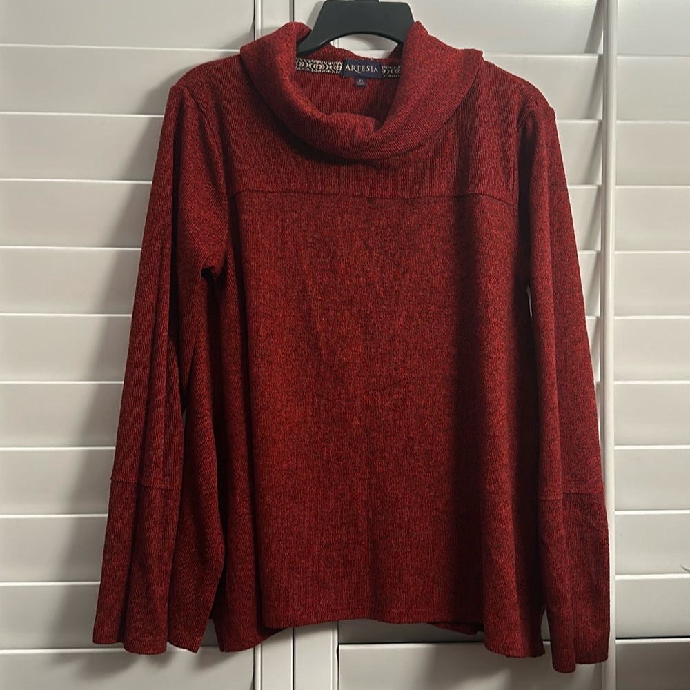 Artesia Loose turtleneck long sleeve blouse